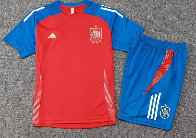 Jersey And Training Shorts Spain