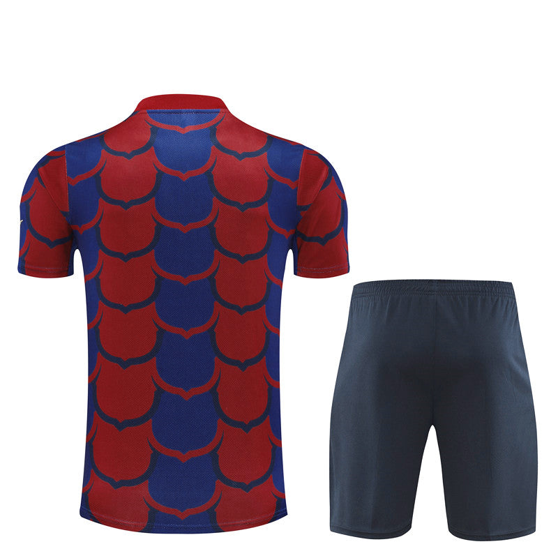 Barcelona 24/25 training shirt and shorts