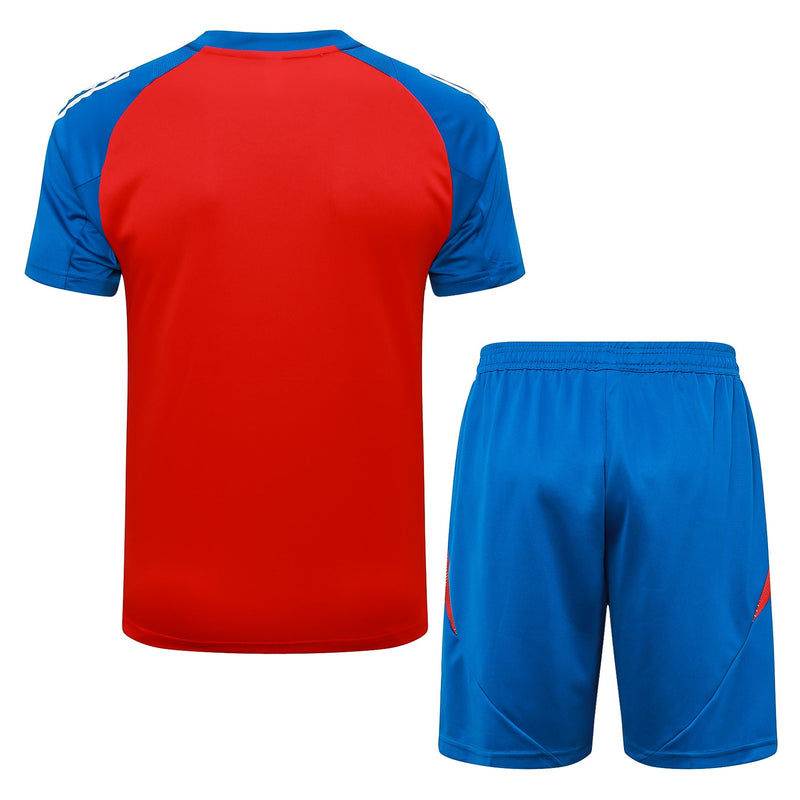 Jersey And Training Shorts Spain